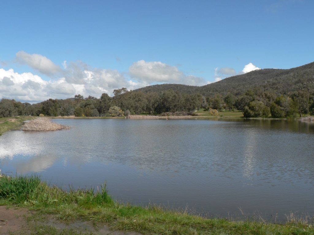 Frank Wellman Dam