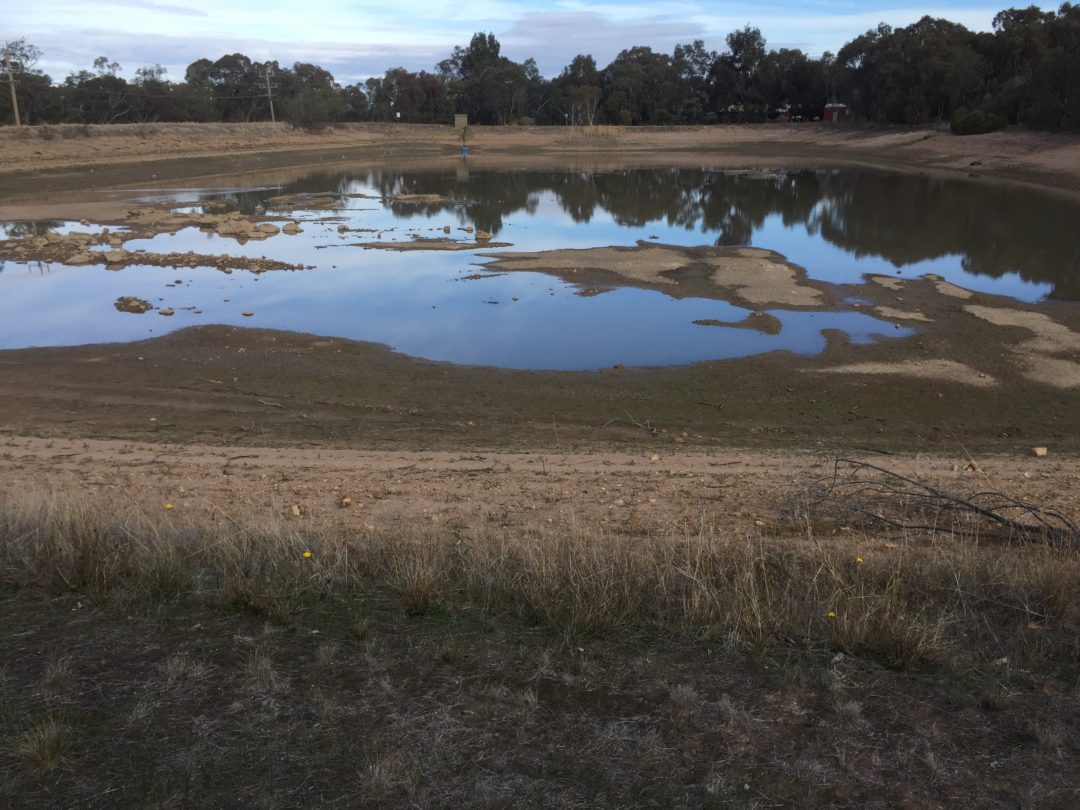 Bottom Dam very low