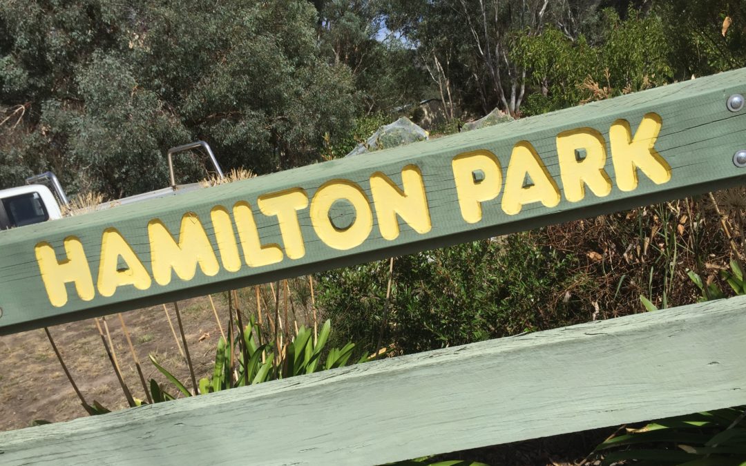 POSTPONED UNTIL 2022- 50th Anniversary of Hamilton Park