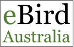 Discover a new world of birding…